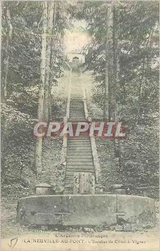 Cartes postales La Neuville au Pont L'Argonne Pittoresque L'Escalier de Cotes a Vignes
