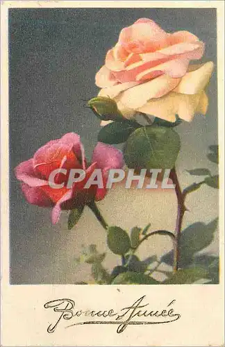 Cartes postales Bonne annee