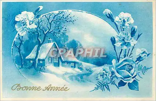 Cartes postales Bonne annee