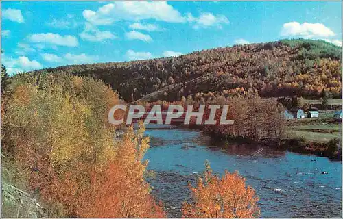 Cartes postales moderne Pont couvert sur la riviere matane a st rene