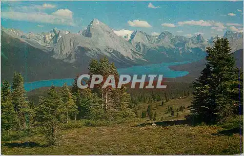 Moderne Karte Maligne lake alplands jasper