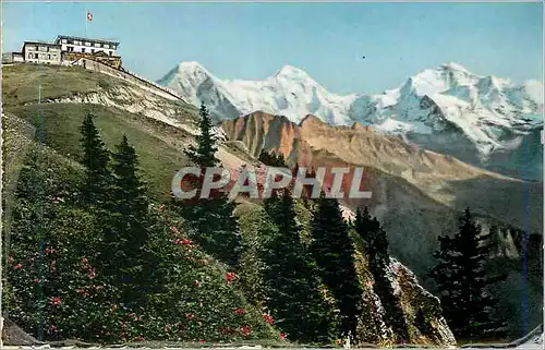 Cartes postales moderne Hotel schynige platte(2000 m) mit eiger monch u jungfrau