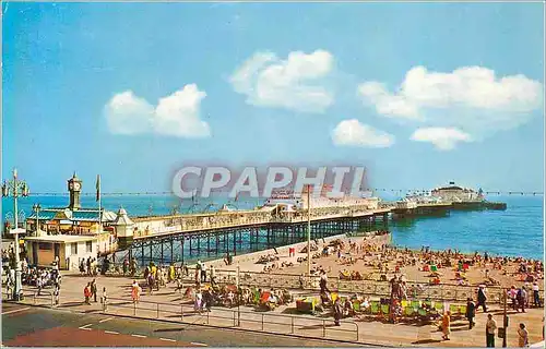 Cartes postales moderne The palace pier brighton