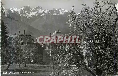 Cartes postales moderne 4310 printemps a caux 1121 m