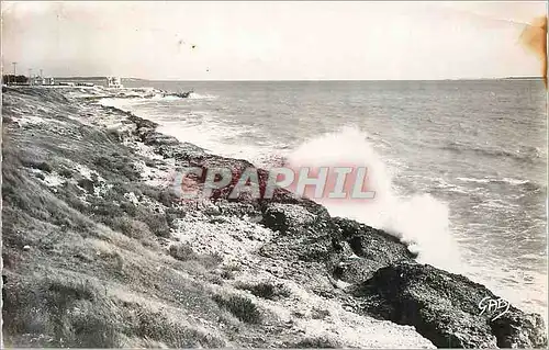 Cartes postales moderne 54 saint palais sur mer  (ch mme) les rochers de la grande cote
