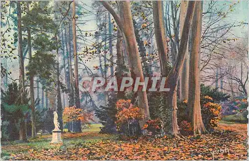 Cartes postales La douce france fontainebleau (s et m) les jardins du palais allee des platanes