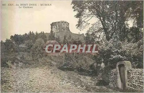 Cartes postales 107 env du mont dore murols le chateau