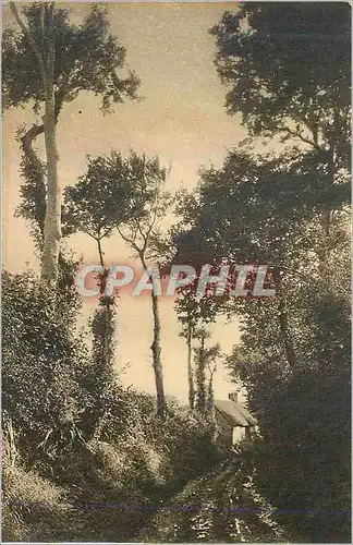 Cartes postales La normandie pittoresque val de saire chemin creux