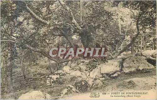 Cartes postales 120 foret de fontainebleau le gutenberg (mont ussy)