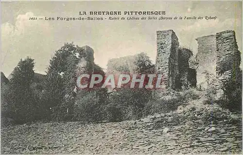 Cartes postales La bretagne pittoresque 2022 les forges de salles