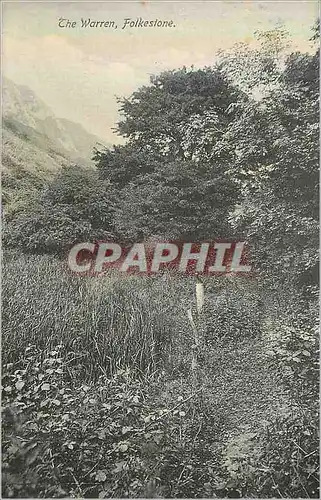 Cartes postales The warren folkestone