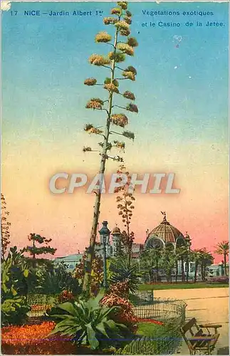 Cartes postales 17 nice jardin albert 1er vegetations exotiques et le casino de la jetee