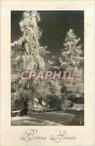 Cartes postales Bonne annee
