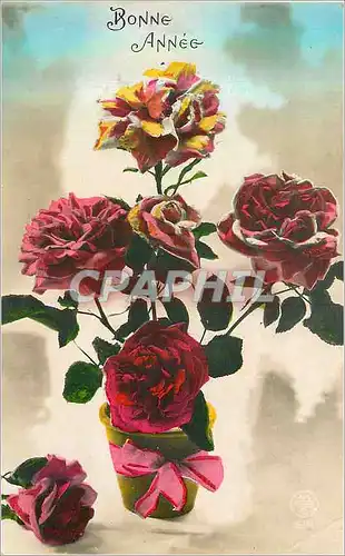 Cartes postales Bonne annee