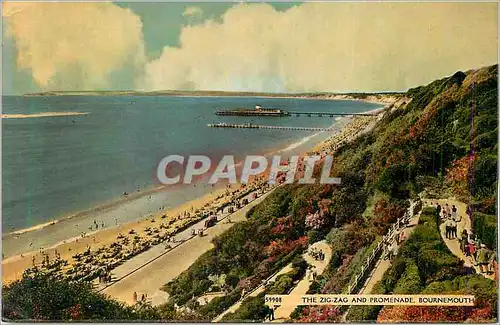 Cartes postales moderne 59908 the zig zag and promenade bournemouth
