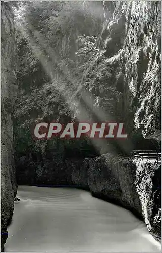 Cartes postales moderne 208 verlag r wurgler phot meiringen