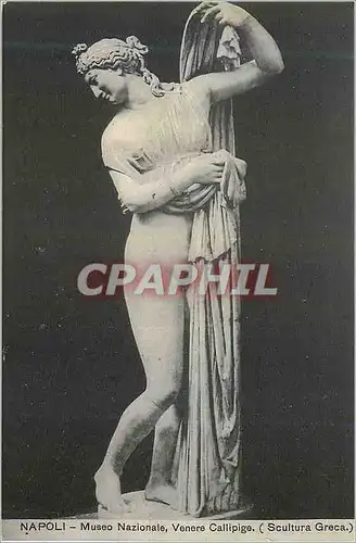 Ansichtskarte AK Napoli museo nazionale venere callipige (scultura greca)