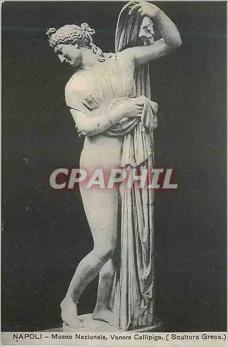 Cartes postales Napoli museo nazionale venere callipige (scultura greca)