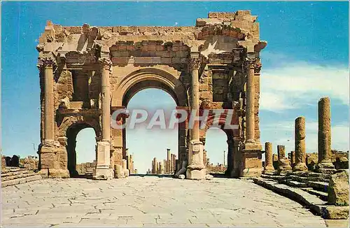 Cartes postales moderne 4154 timgad
