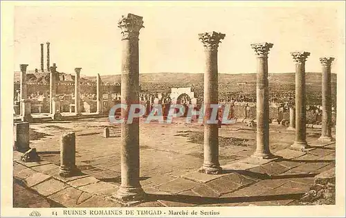 Cartes postales 14 ruines romaines de timgad marche de sertius