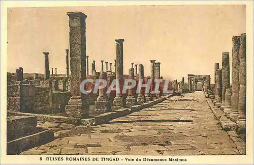 Ansichtskarte AK 8 ruines romaines de timgad voie du decumanus maximus