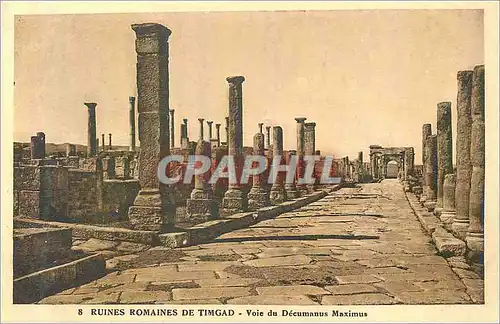 Cartes postales 8 ruines romaines de timgad voie du decumanus maximus