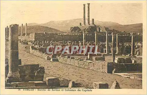 Cartes postales 36 timgad marche de sertius et colonnes du capitole
