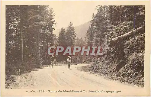 Cartes postales 866 route du mont dore a la bourboule (paysage)