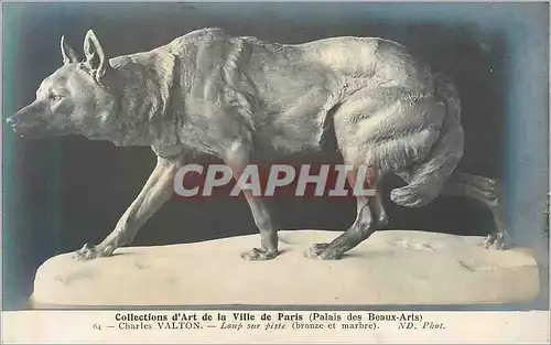 Cartes postales Collections d art de la ville de paris (palais des beaux arts) Charles Valton Loup sur piste bro