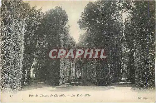 Cartes postales 33 parc du chateau de chantilly les trois allees