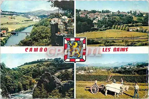 Cartes postales moderne Cambo les bains 1674 vue generale vue d ensemble la nive au pas de roland attelage B�ufs
