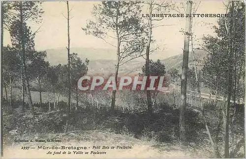 Cartes postales La bretagne pittoresque 2397 mur de bretagne petit bois de poulbalee au fond de la vallee de pou