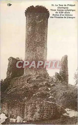 Cartes postales 21 la tour de piegut (dordogne) vieux donjon cylindrique du xiii siecle