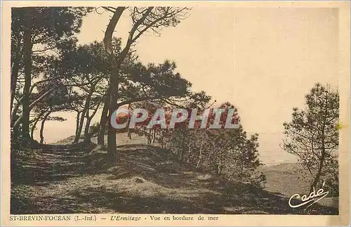 Cartes postales St brevin l ocean (i inf) l ermitage vue en bordure de mer