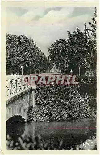 Cartes postales 11 chalons sur marne le jard les promenades