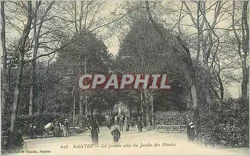 Cartes postales Nantes La Grande Allee du Jardin des Plantes