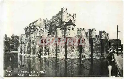 Cartes postales moderne Gand Chateau des Comtes