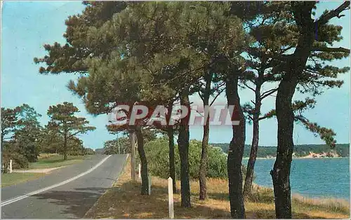 Cartes postales moderne Greetings from Yale Iowa