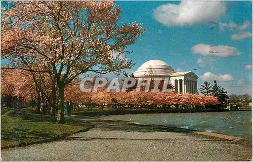 Cartes postales moderne Jefferson Memorial Appears in its most Beautiful Setting Usually early in April When the Cherry