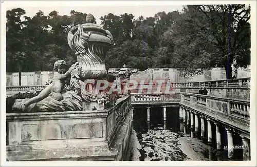 Cartes postales moderne Nimes Le Jardin de la Fontaine Les Bains Romains