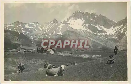 Cartes postales moderne Grenoble Vaches