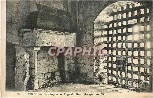 Cartes postales Loches Le Donjon Cage du Duc d'Alencon