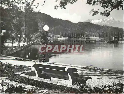 Moderne Karte Kurort Portschach am Worthersee Blumenstrand