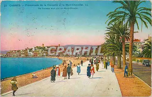 Cartes postales Cannes Promenade de la Croisette et le Mont Chevalier