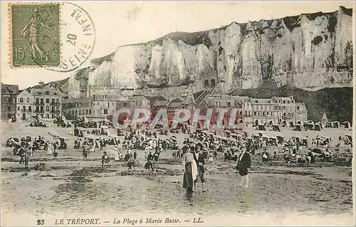 Cartes postales le Treport la Plage a Maree Basse