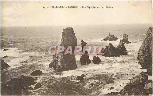 Ansichtskarte AK Belle Isle Bangor les Aiguilles de Port Coton