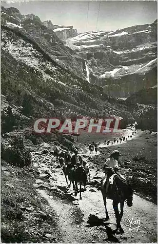 Cartes postales moderne Gavarnie Retour du Cirque Chevaux