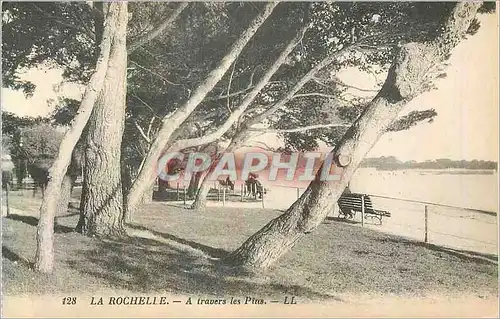 Cartes postales la Rochelle a Travers les Pins