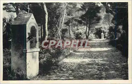 Cartes postales moderne Notre Dame de la Garoupe au Cap d'Antibes le Chemin du Calvaire