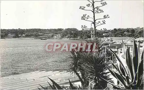 Cartes postales moderne la Garoupe Vue sur la Baie de la Garoupe et les Plages